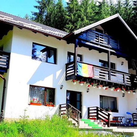 Pensiunea Vatra Bucovinei Vatra Moldoviţei Exteriér fotografie