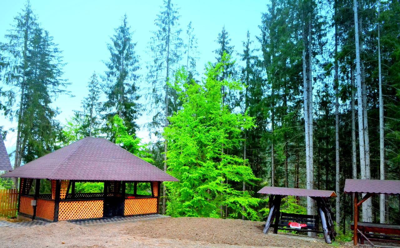Pensiunea Vatra Bucovinei Vatra Moldoviţei Exteriér fotografie